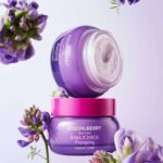 ⁦EQQUALBERRY Bakuchiol Plumping Capsule Cream 50ml⁩ - الصورة ⁦2⁩